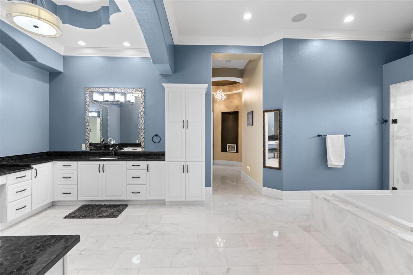 17301 BALLMONT PARK DR, ODESSA, FL, 33556