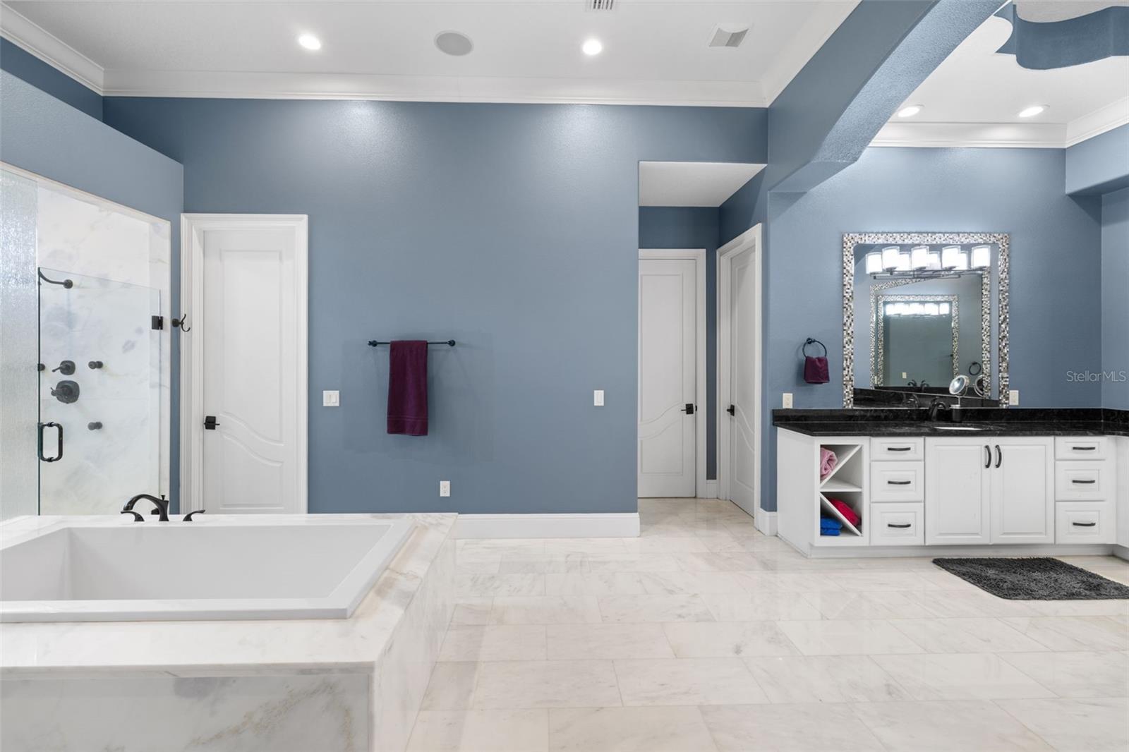 17301 BALLMONT PARK DR, ODESSA, FL, 33556