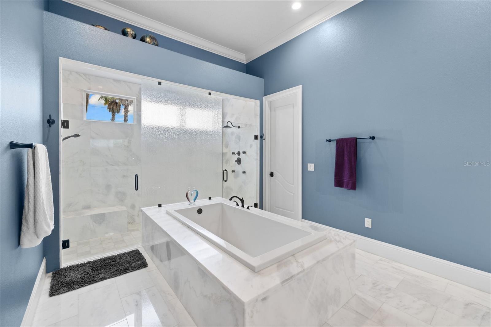 17301 BALLMONT PARK DR, ODESSA, FL, 33556