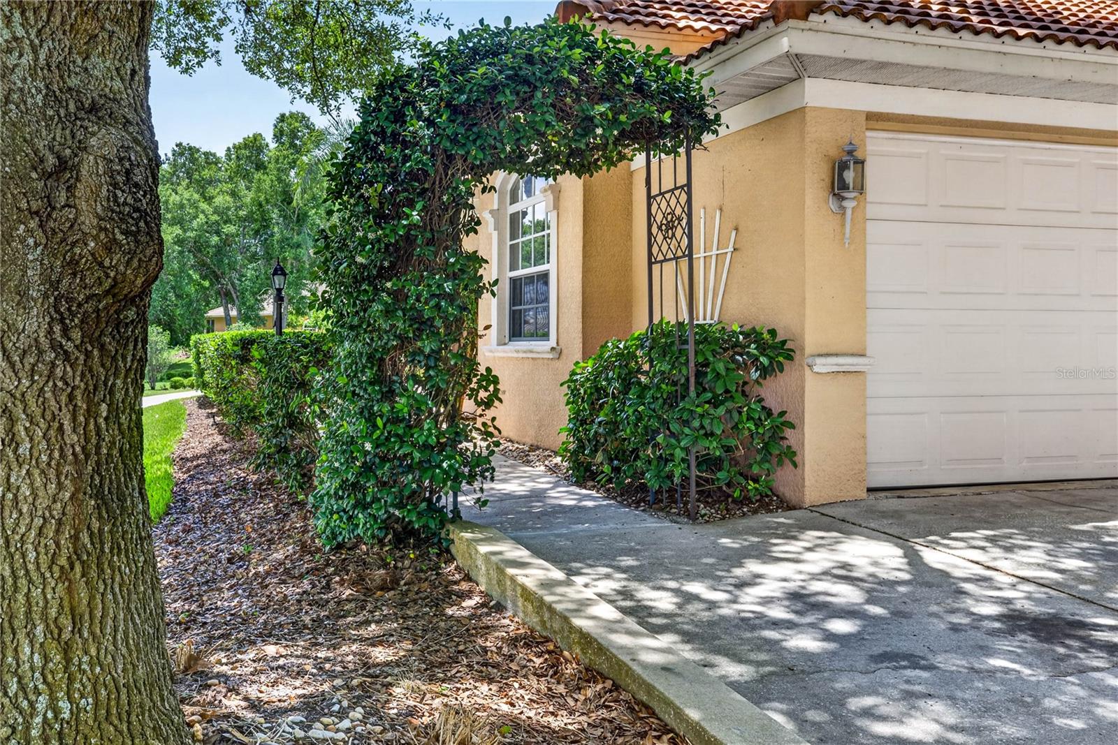 12643 OAK HOLLOW CT, DADE CITY, FL, 33525