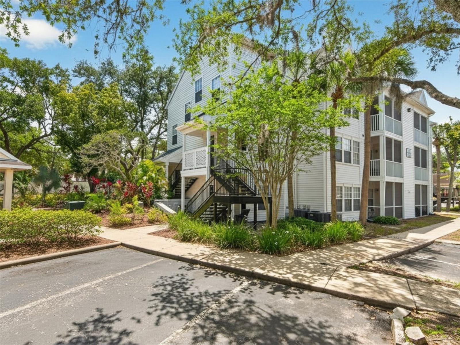 3305 HAVILAND CT #301, PALM HARBOR, FL, 34684