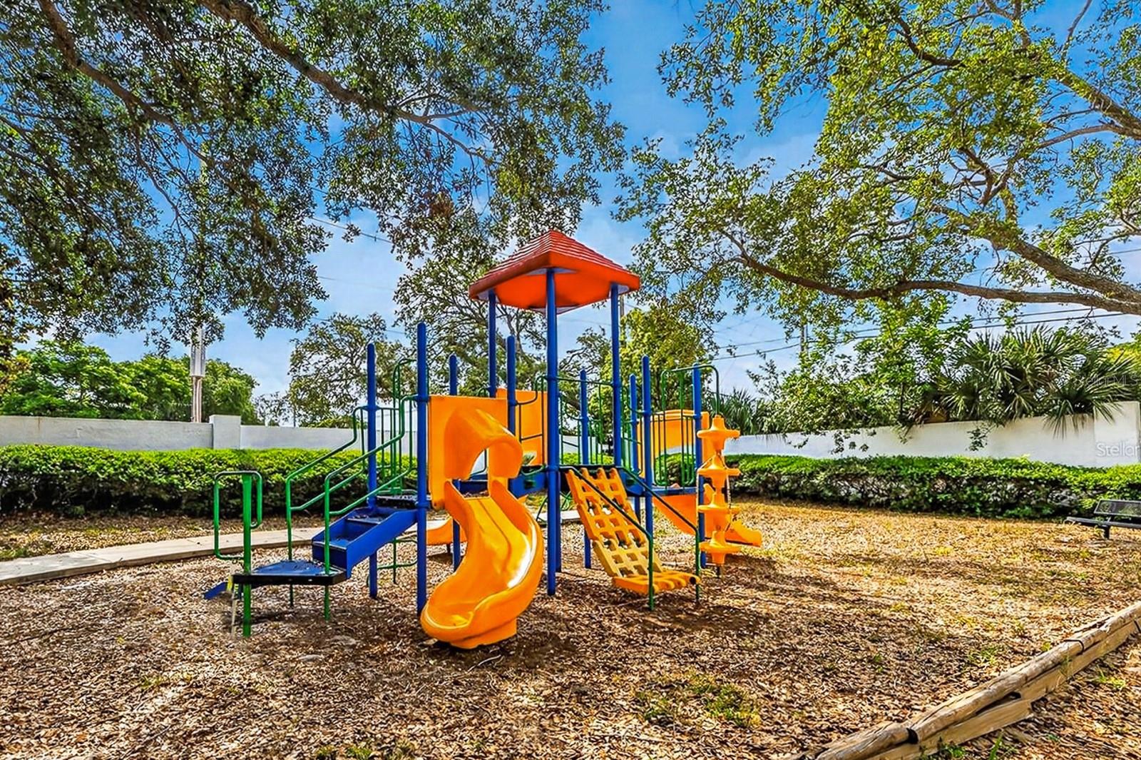 3305 HAVILAND CT #301, PALM HARBOR, FL, 34684