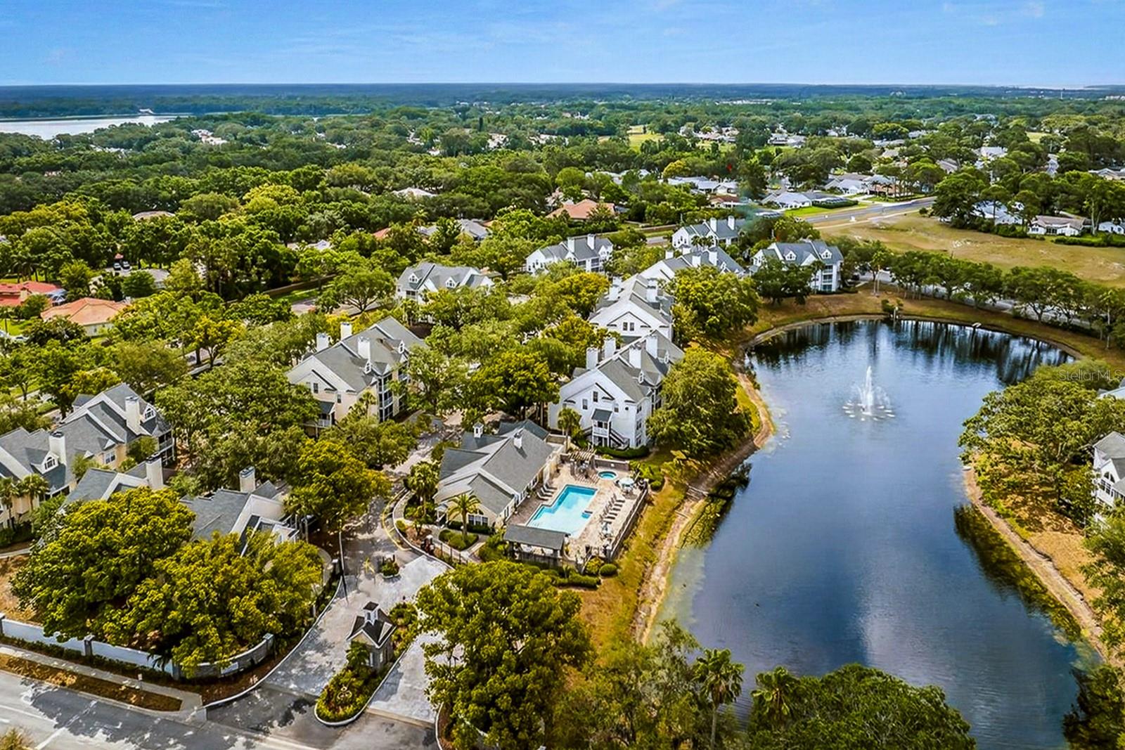 3305 HAVILAND CT #301, PALM HARBOR, FL, 34684