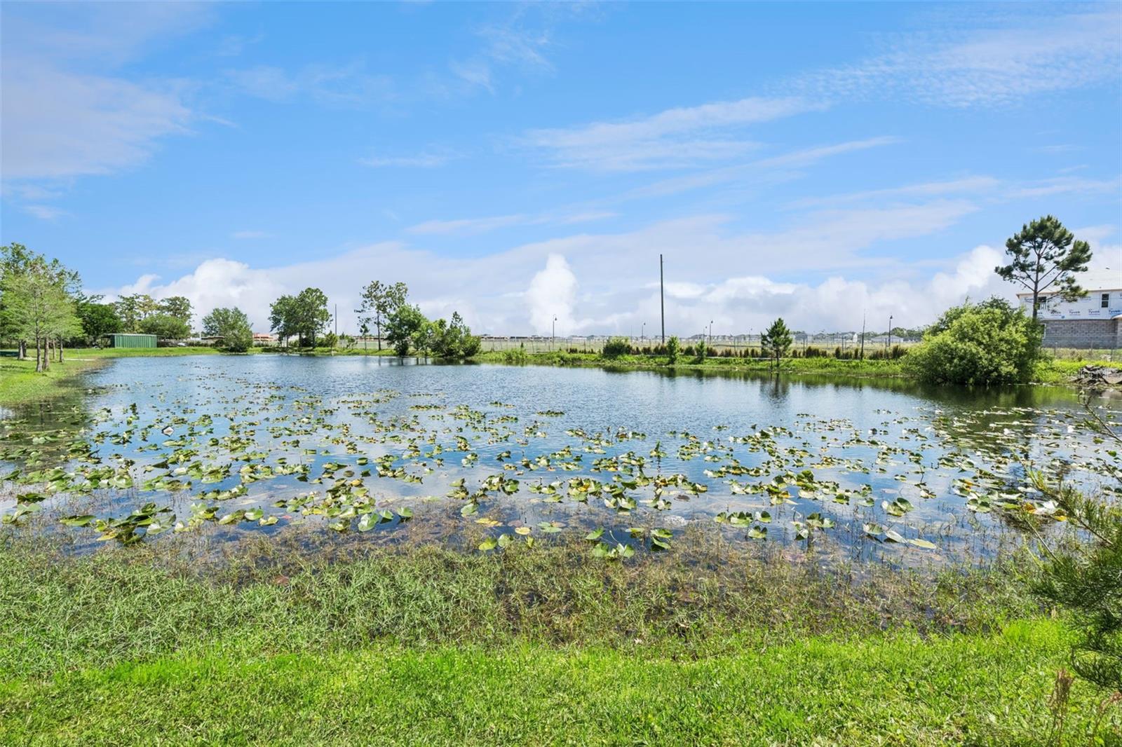 5825 LAKE LIZZIE DR, ST CLOUD, FL, 34771
