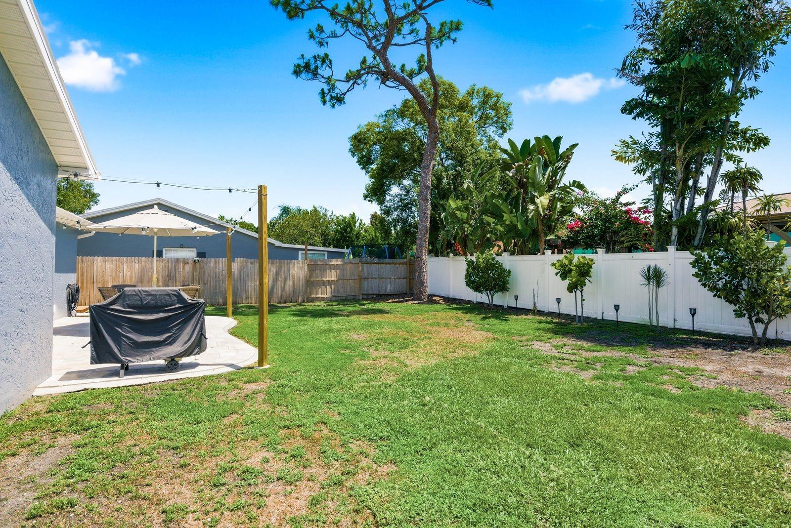 3265 PINE HAVEN DR, CLEARWATER, FL, 33761