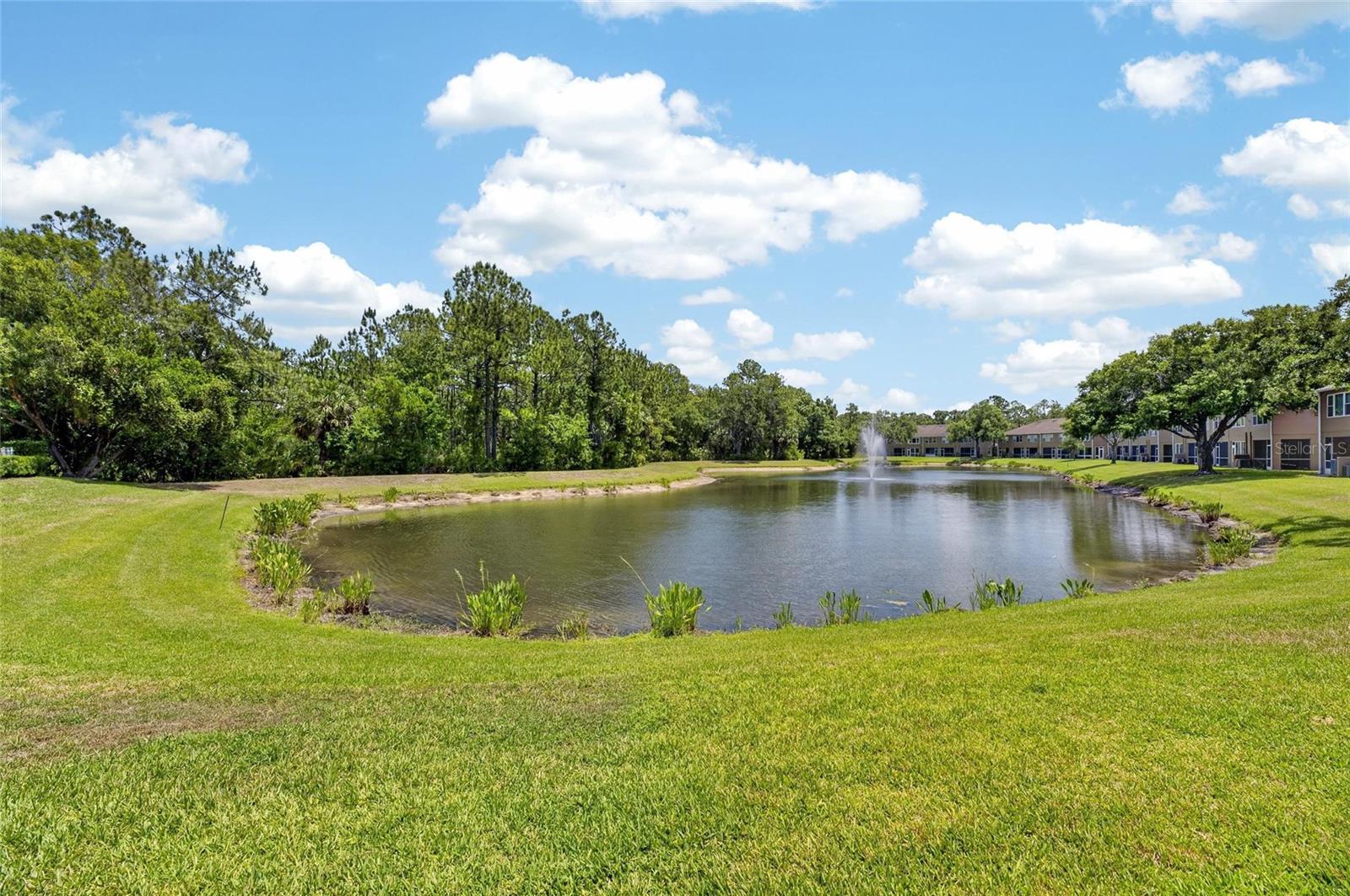 18947 DUQUESNE DR, TAMPA, FL, 33647