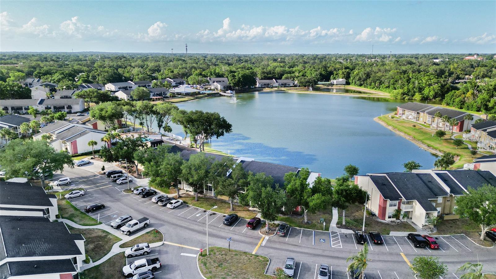 214 LAKE PARSONS GRN #206, BRANDON, FL, 33511