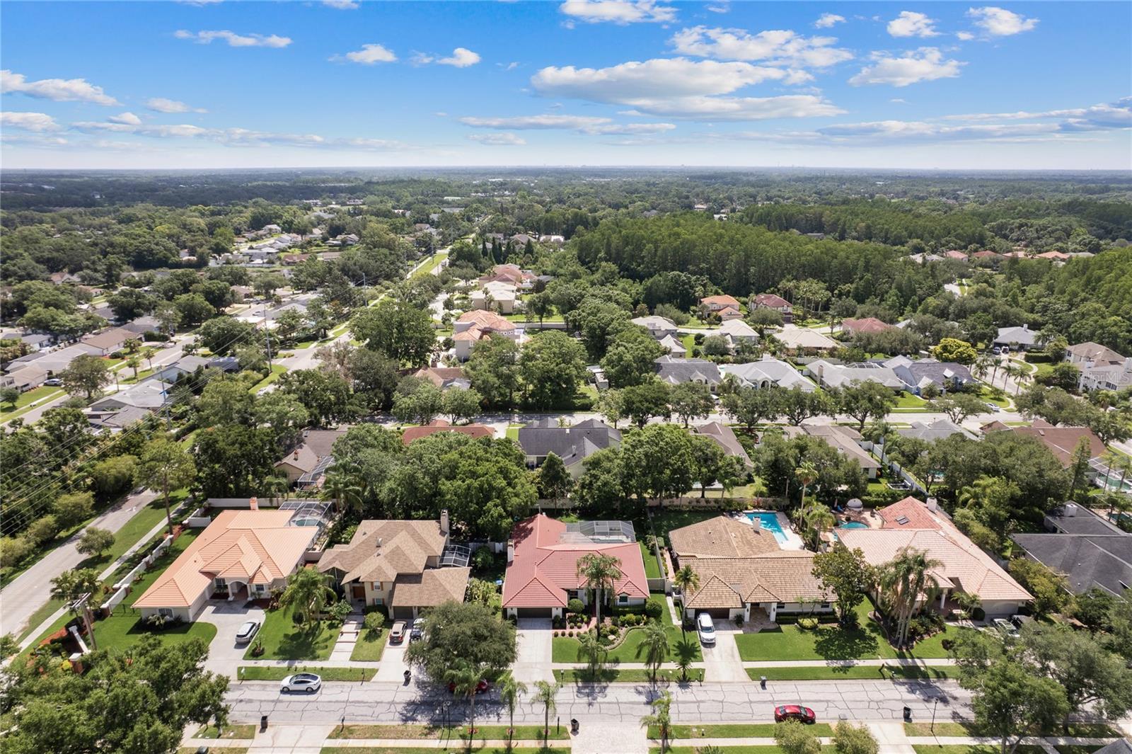 12909 CINNIMON PL, TAMPA, FL, 33624