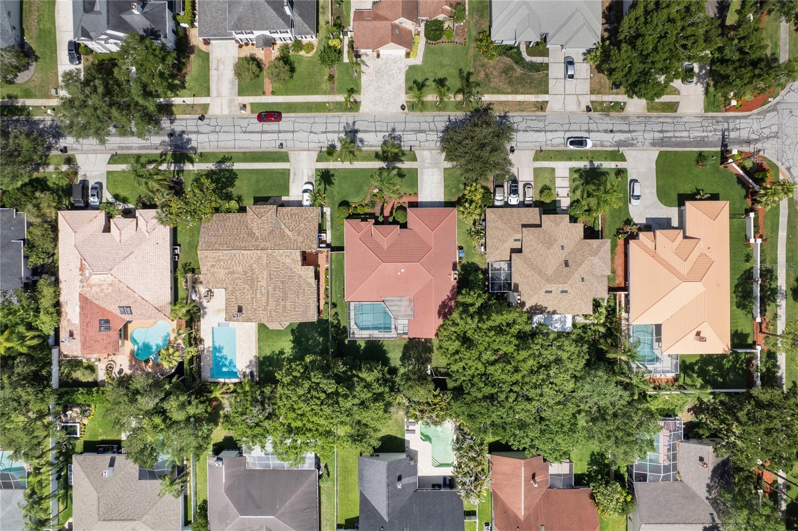 12909 CINNIMON PL, TAMPA, FL, 33624