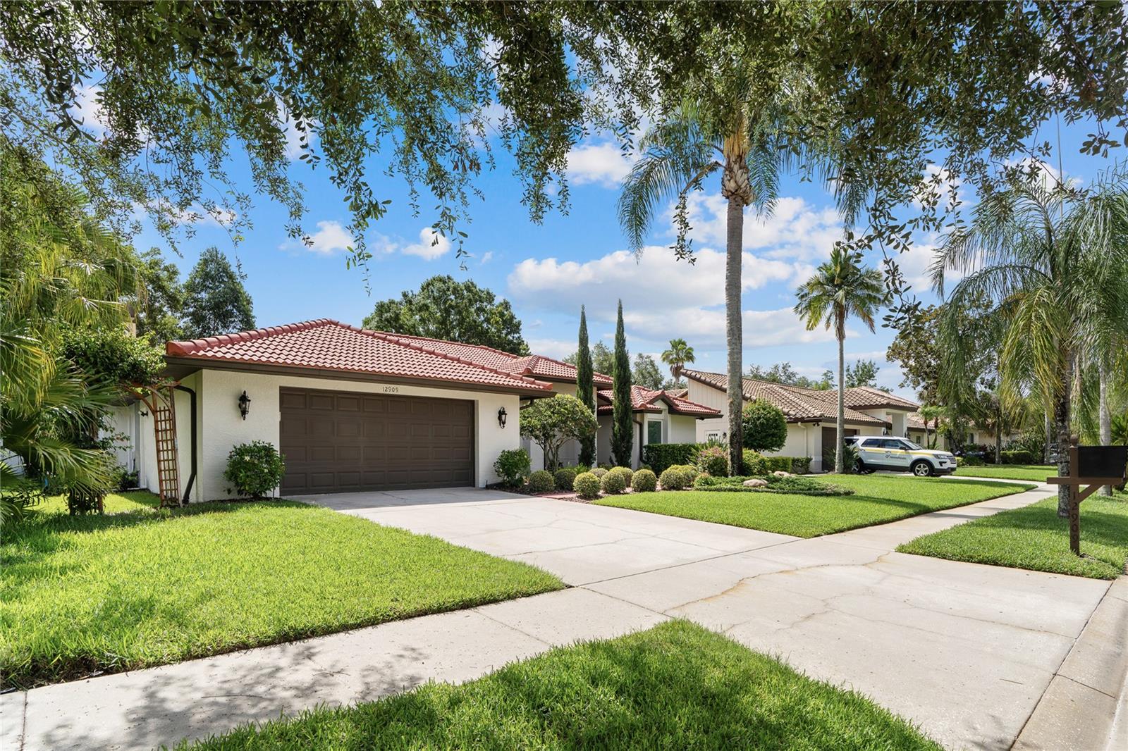 12909 CINNIMON PL, TAMPA, FL, 33624