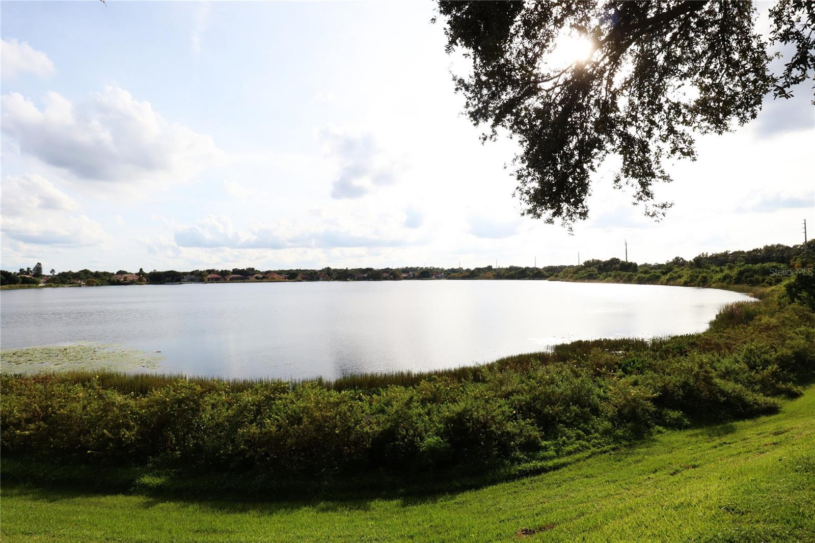 8248 TIVOLI DR, ORLANDO, FL, 32836