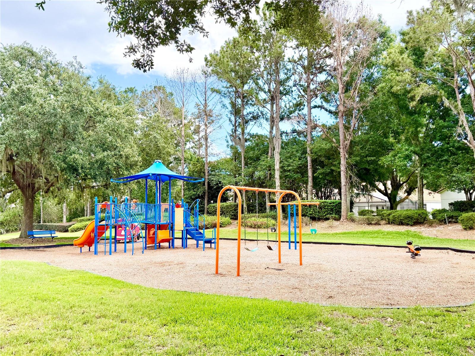 11326 LEDGEMENT LN, WINDERMERE, FL, 34786