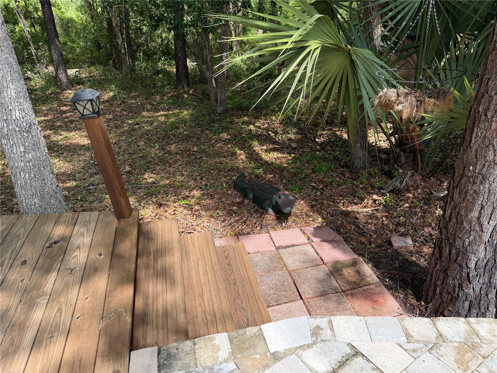 2853 NE 104TH TER, SILVER SPRINGS, FL, 34488