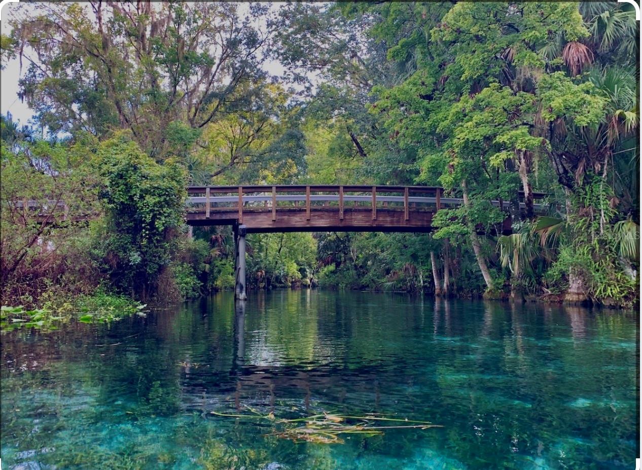 2853 NE 104TH TER, SILVER SPRINGS, FL, 34488