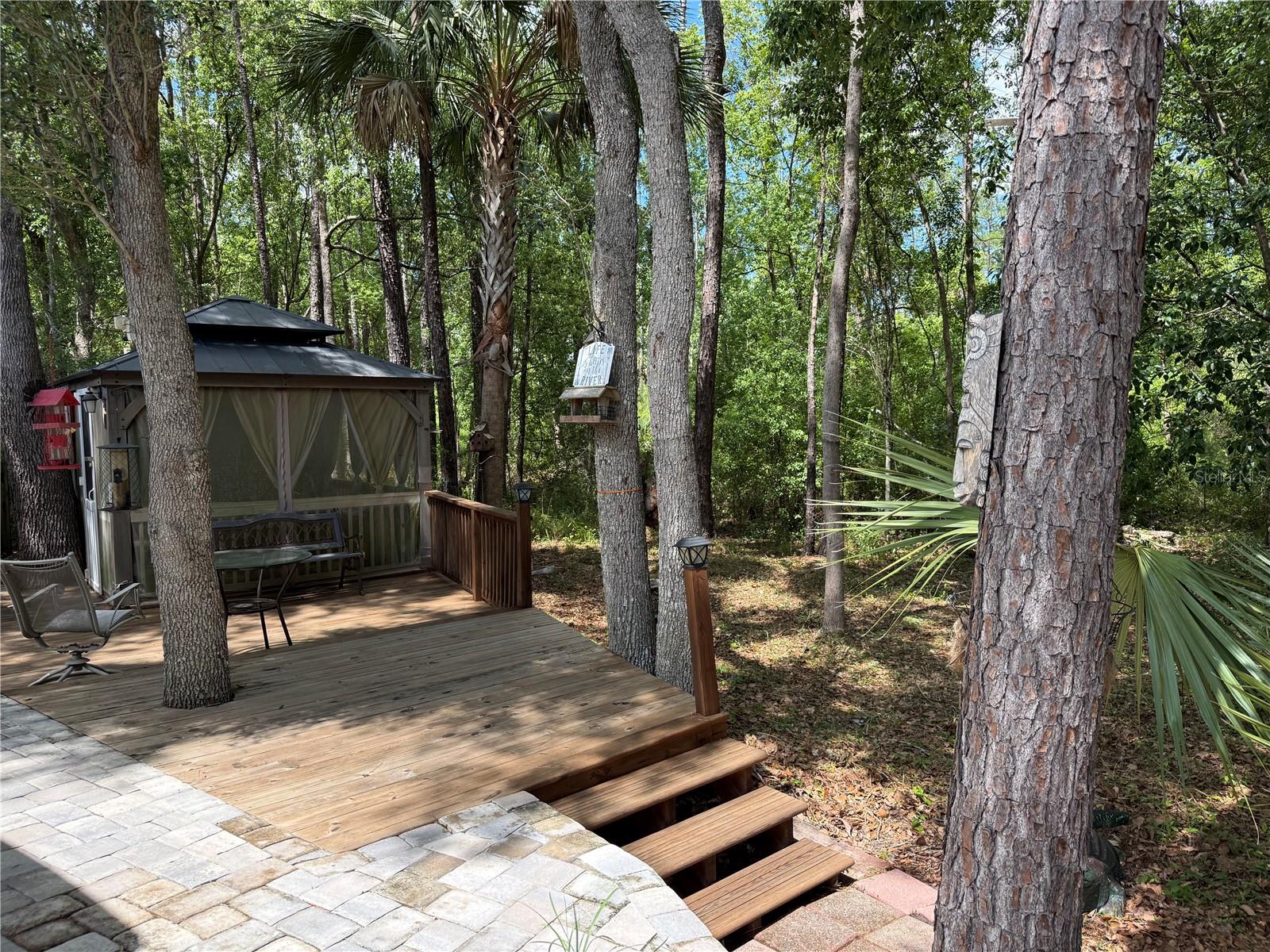 2853 NE 104TH TER, SILVER SPRINGS, FL, 34488