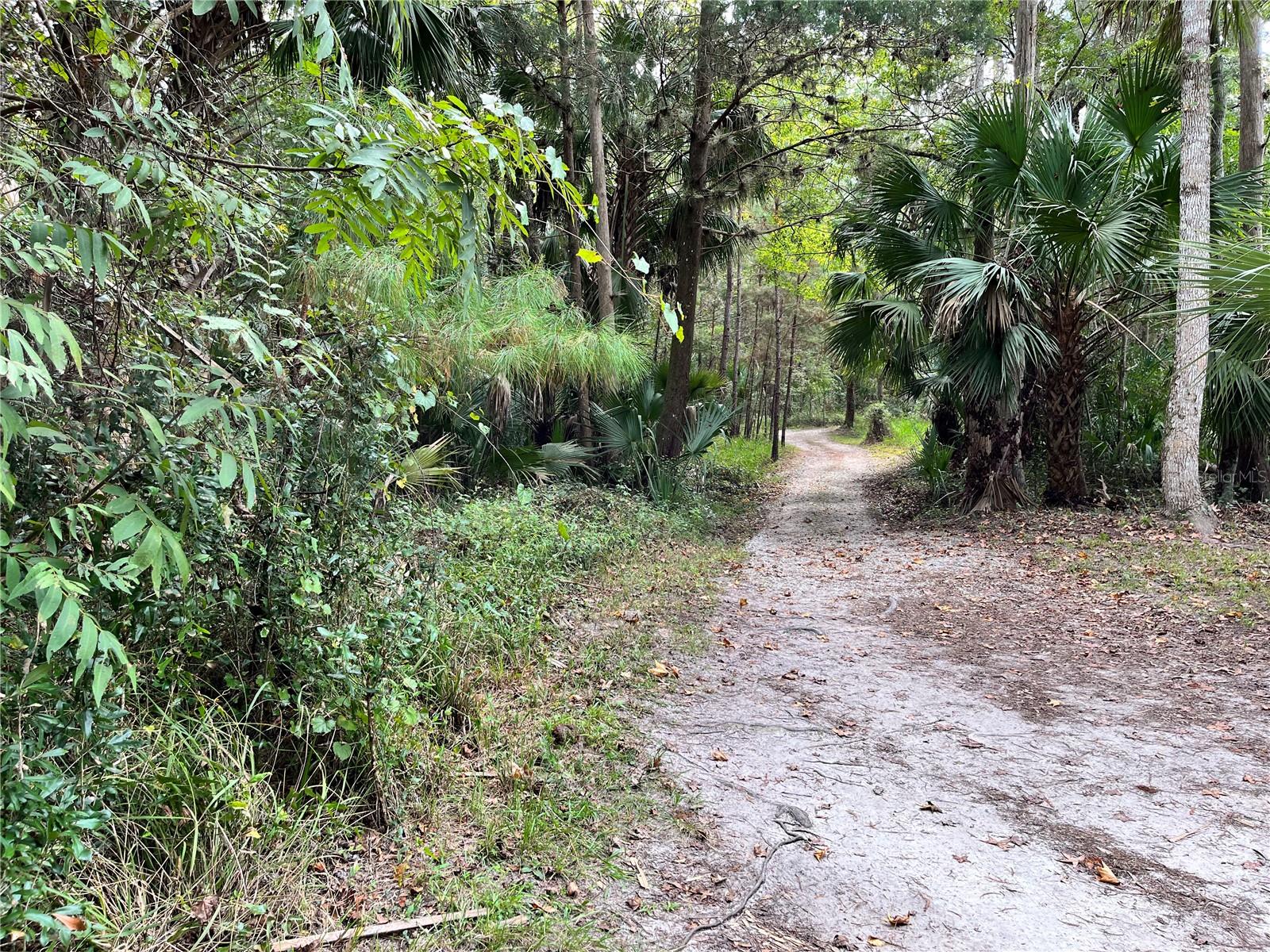 2853 NE 104TH TER, SILVER SPRINGS, FL, 34488