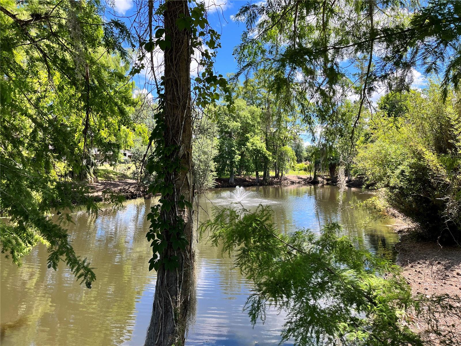 2853 NE 104TH TER, SILVER SPRINGS, FL, 34488