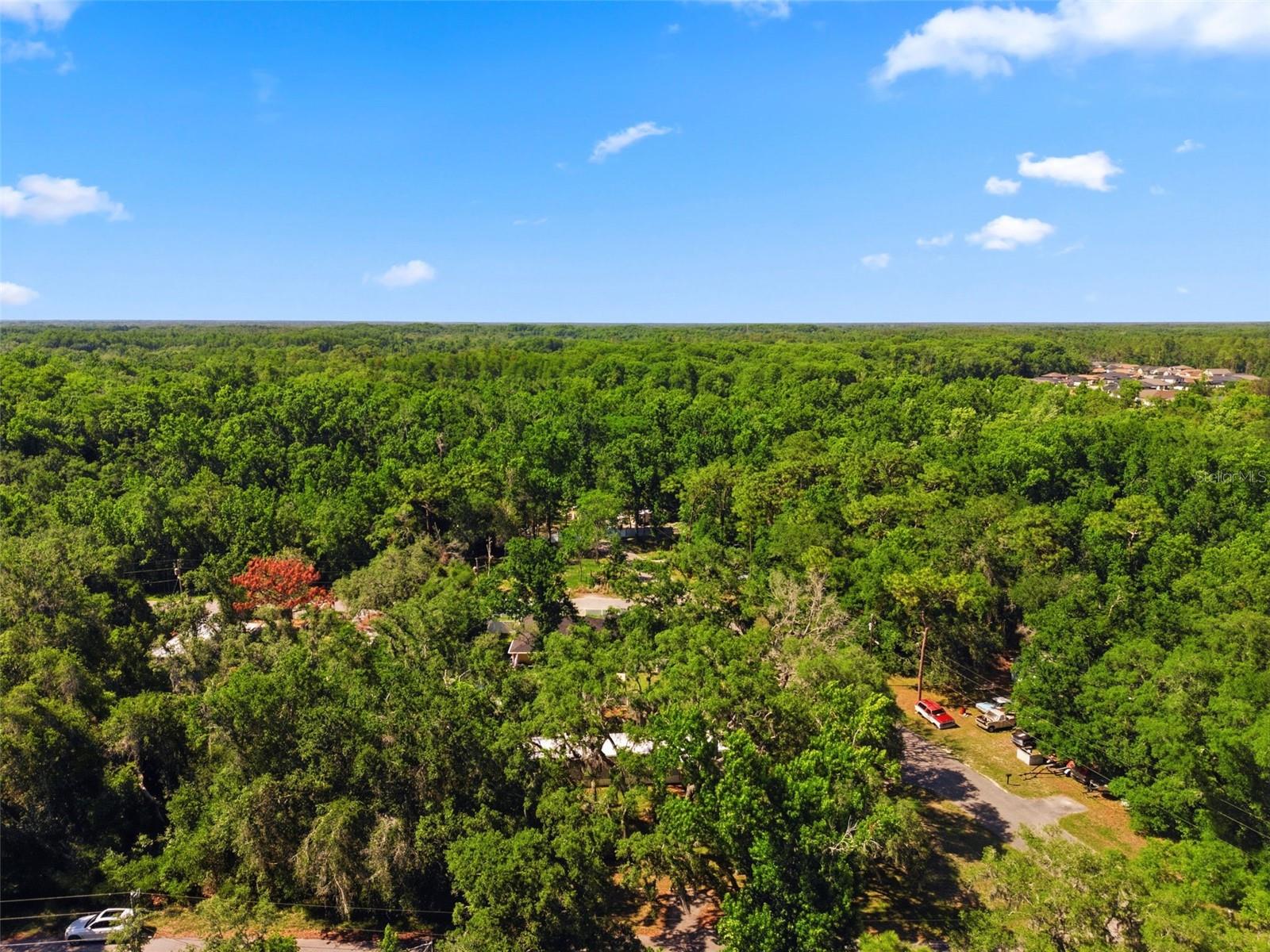 12449 EAGLE LAKE AVE, NEW PORT RICHEY, FL, 34654