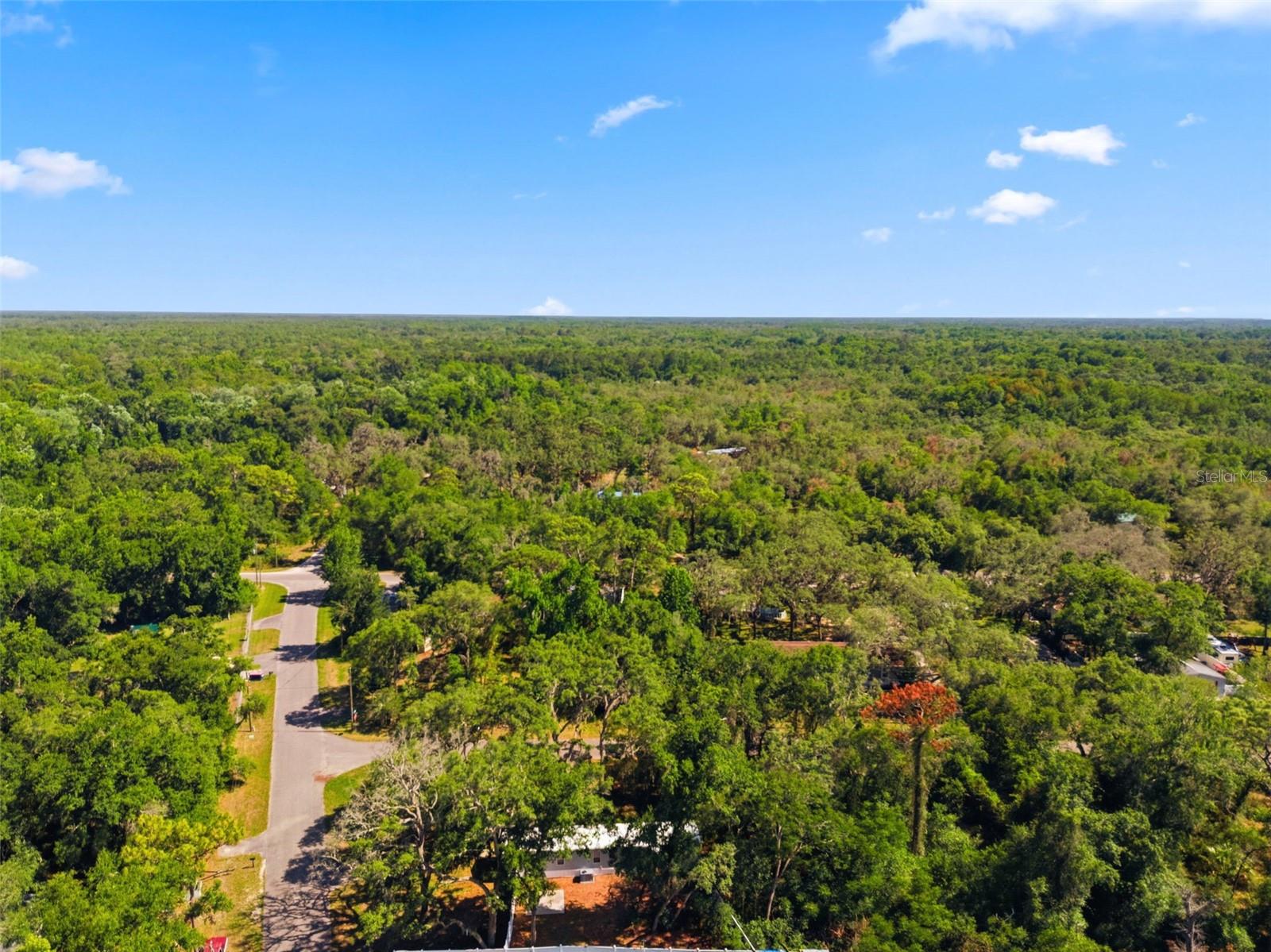 12449 EAGLE LAKE AVE, NEW PORT RICHEY, FL, 34654