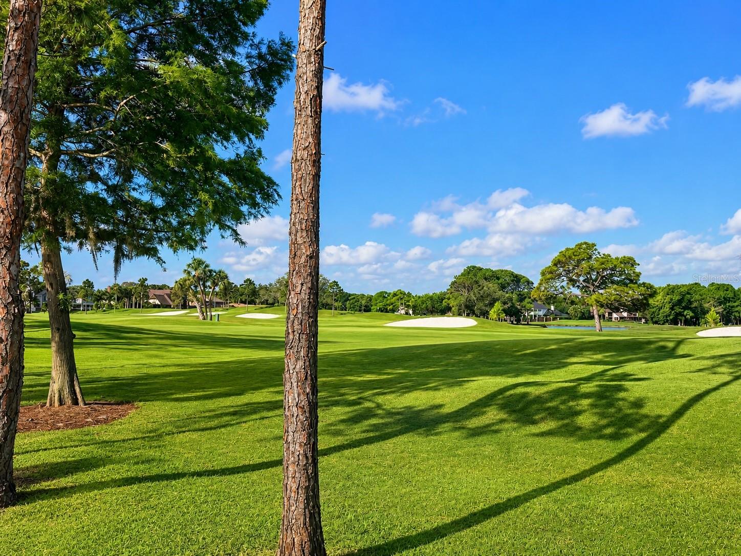 2400 FEATHER SOUND DR #223, CLEARWATER, FL, 33762