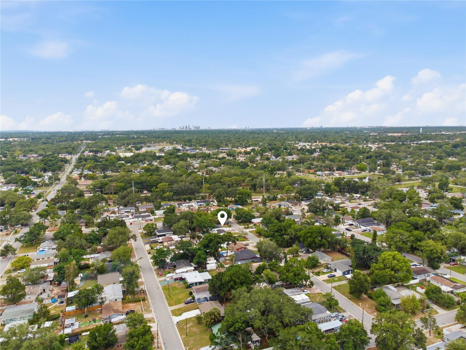 10003 N 24TH ST, TAMPA, FL, 33612