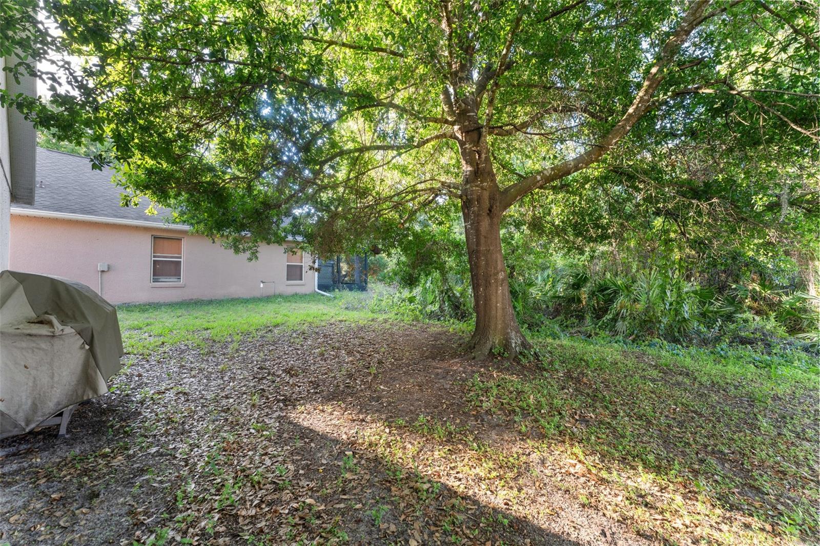 2127 RUCHE CT, ORLANDO, FL, 32817
