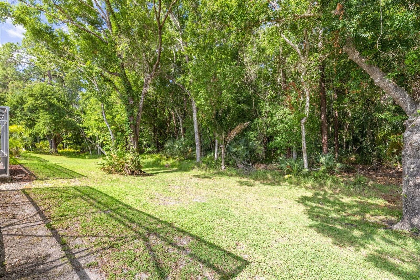 3764 DARSTON ST, PALM HARBOR, FL, 34685