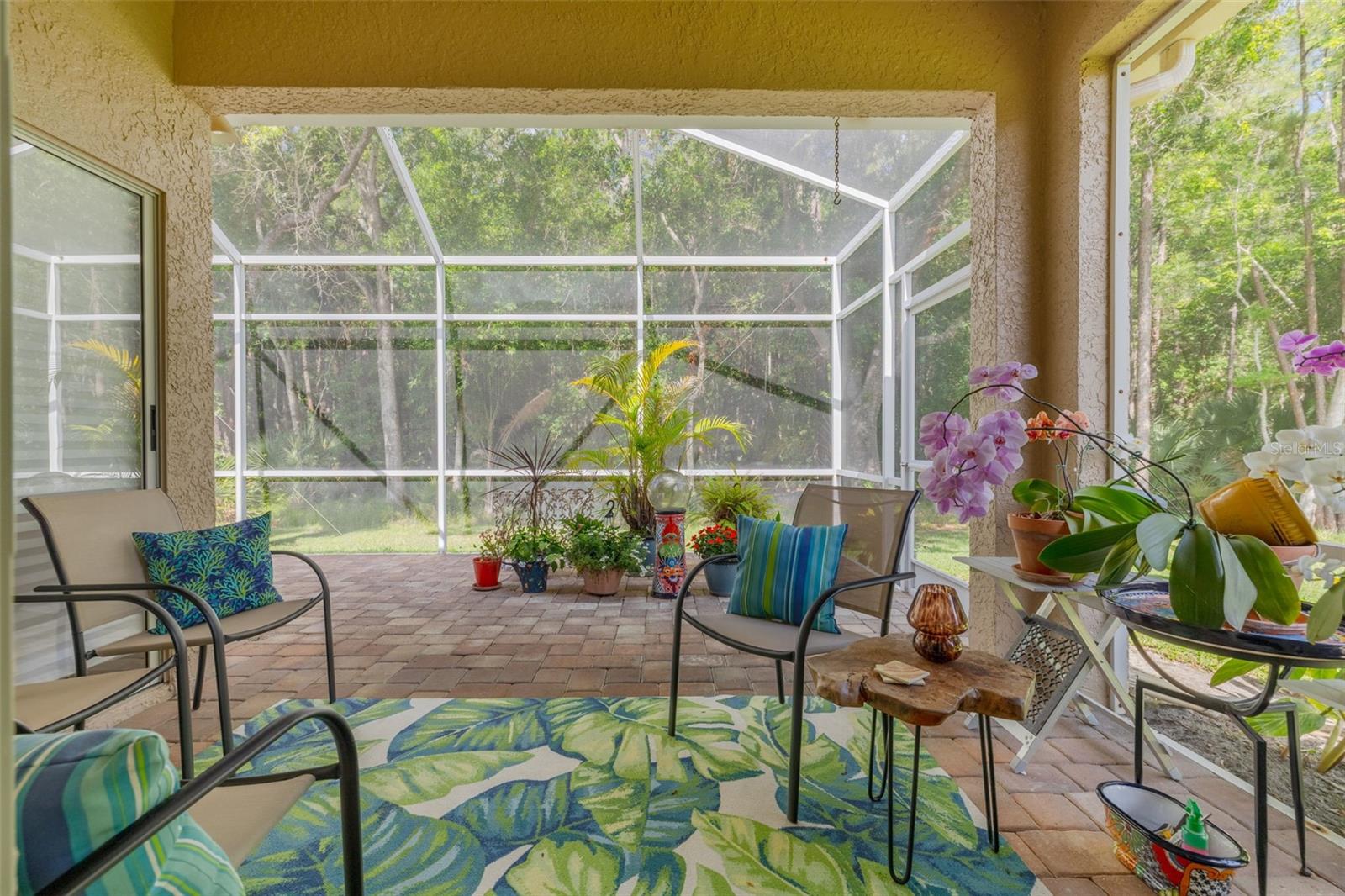 3764 DARSTON ST, PALM HARBOR, FL, 34685