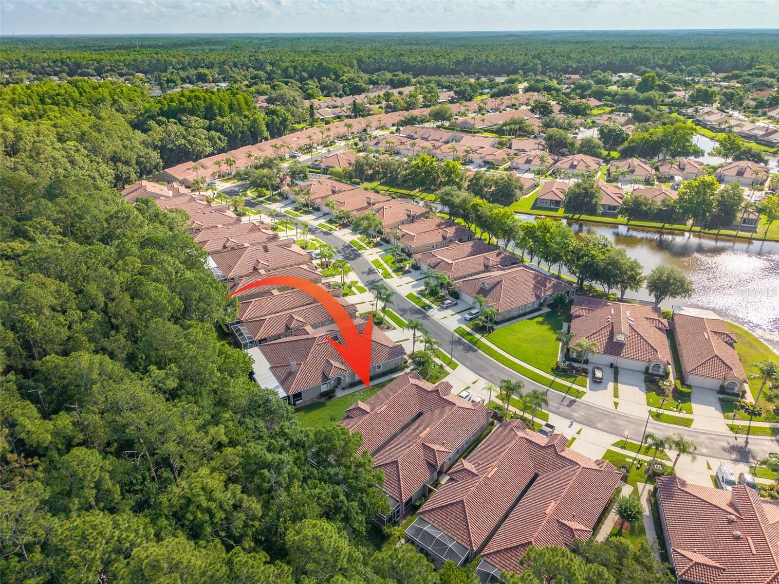 3764 DARSTON ST, PALM HARBOR, FL, 34685