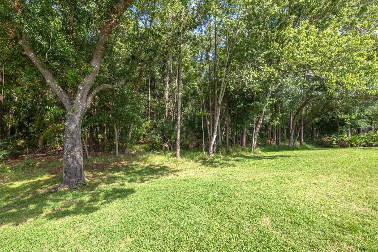 3764 DARSTON ST, PALM HARBOR, FL, 34685