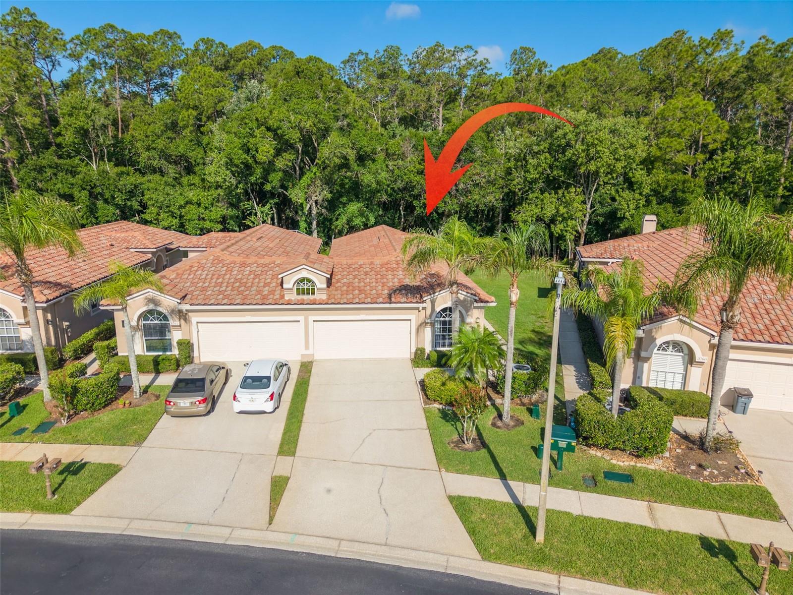 3764 DARSTON ST, PALM HARBOR, FL, 34685