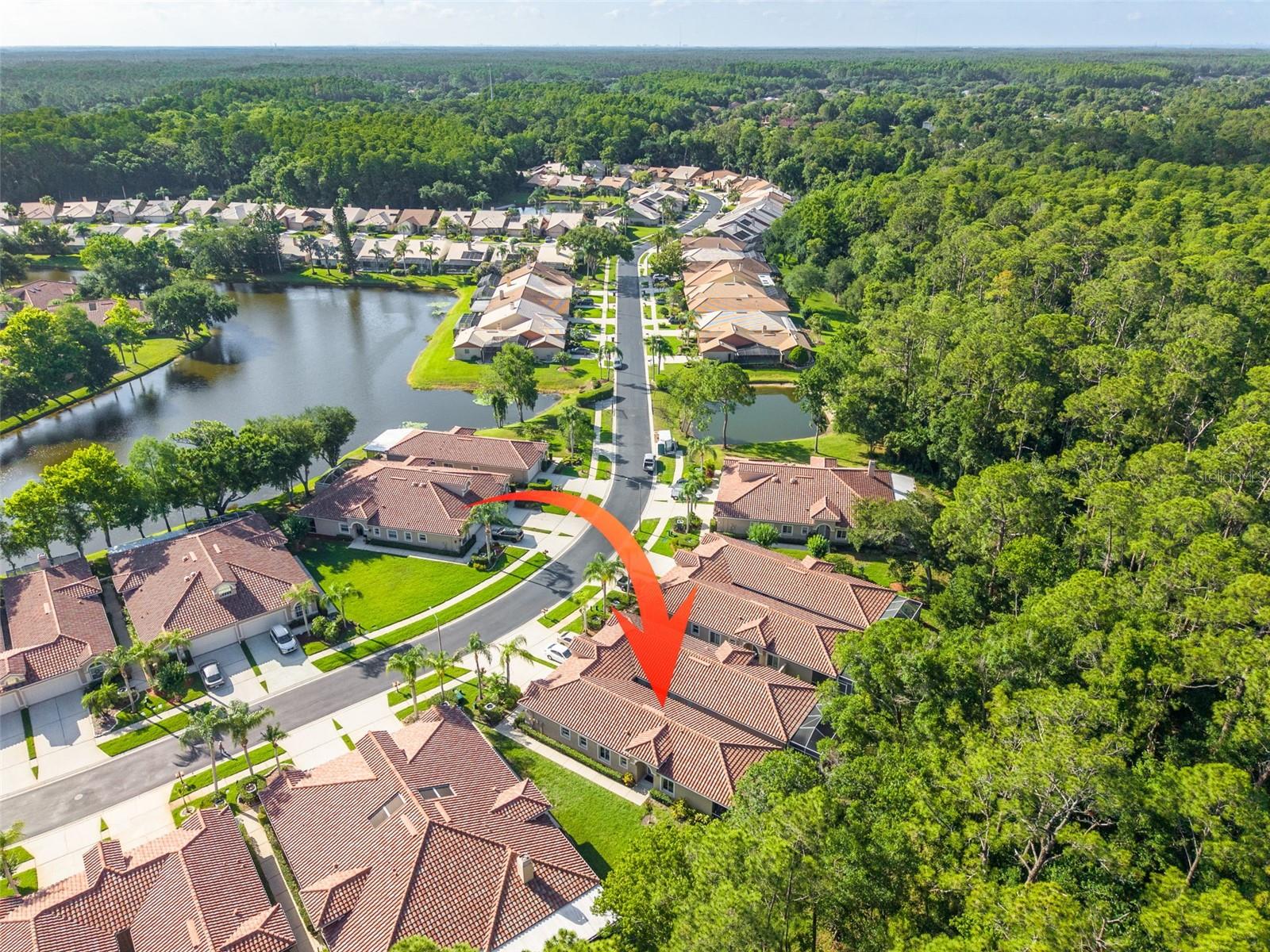 3764 DARSTON ST, PALM HARBOR, FL, 34685