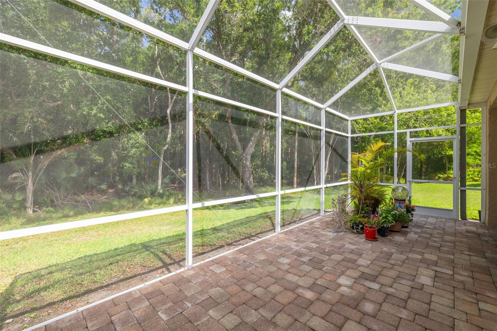 3764 DARSTON ST, PALM HARBOR, FL, 34685