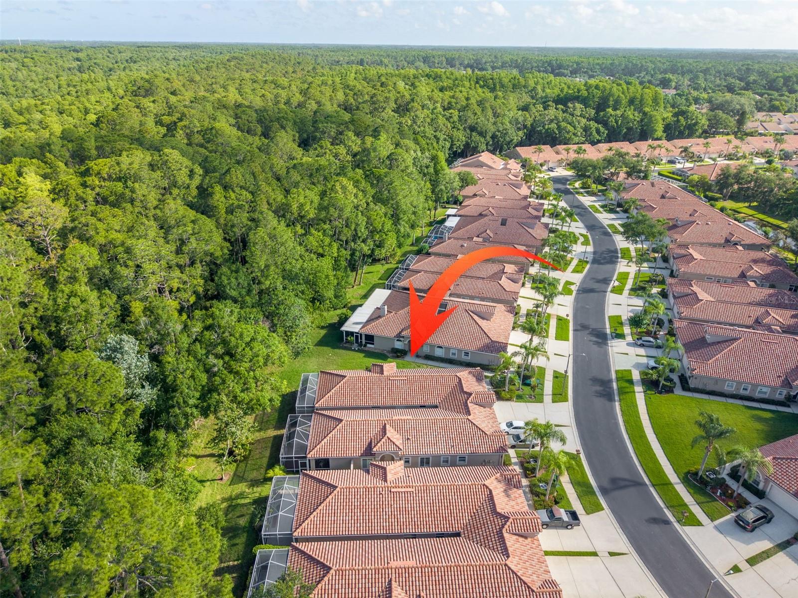 3764 DARSTON ST, PALM HARBOR, FL, 34685