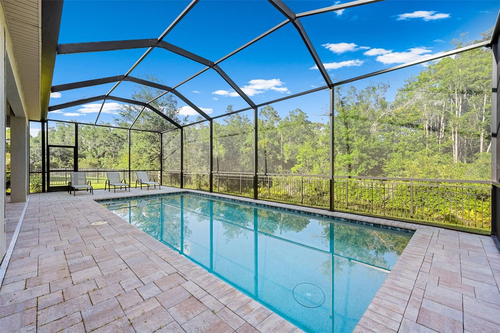 31321 CHESAPEAKE BAY DR, WESLEY CHAPEL, FL, 33543