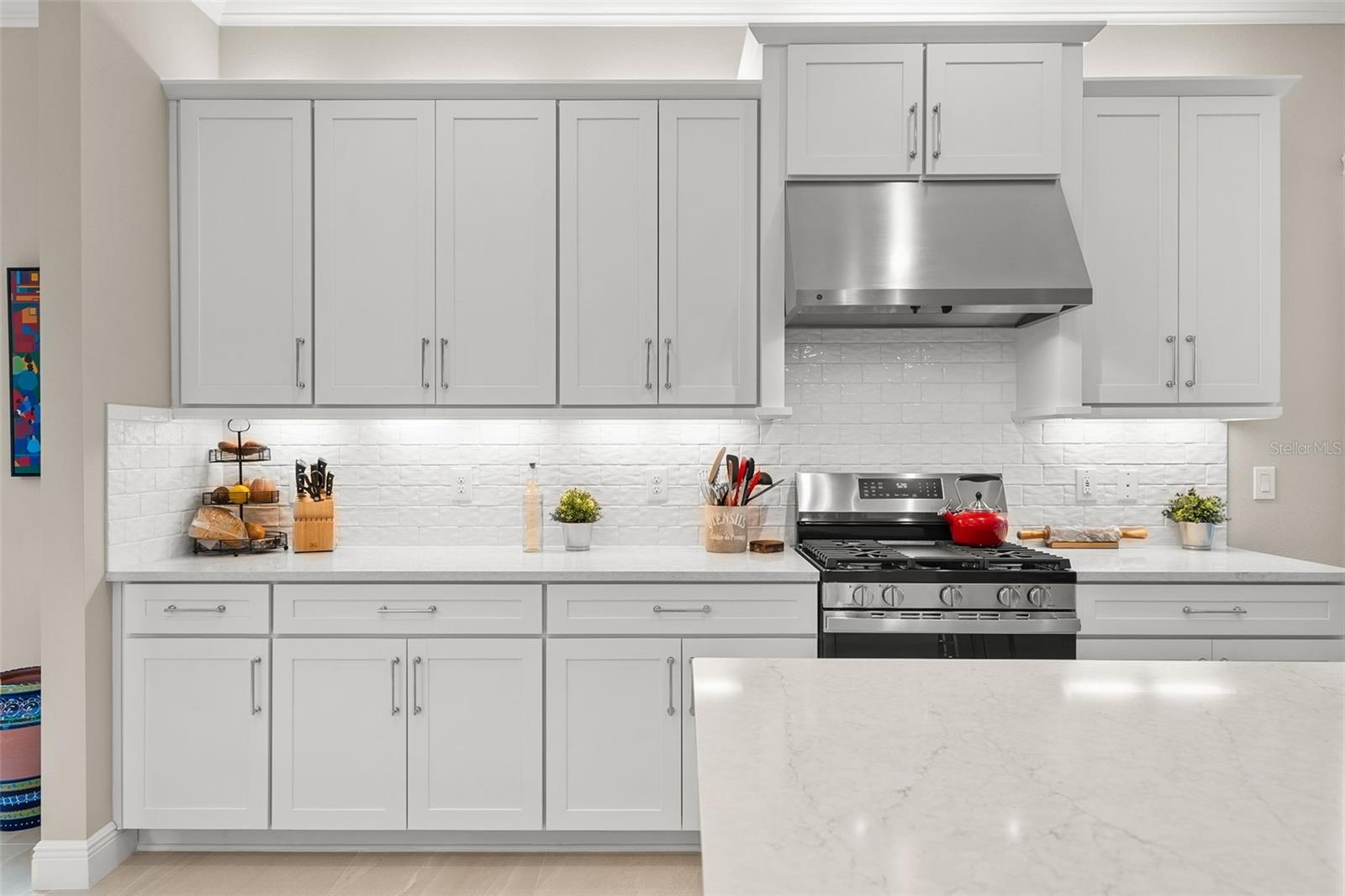 31321 CHESAPEAKE BAY DR, WESLEY CHAPEL, FL, 33543