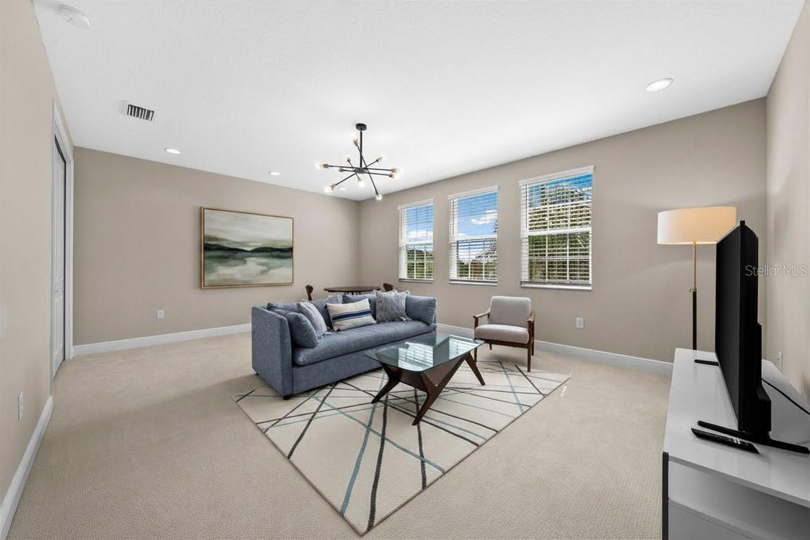 31321 CHESAPEAKE BAY DR, WESLEY CHAPEL, FL, 33543