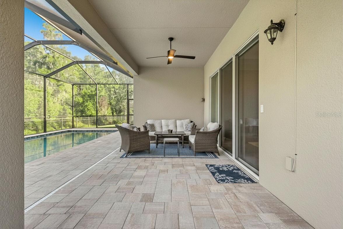 31321 CHESAPEAKE BAY DR, WESLEY CHAPEL, FL, 33543