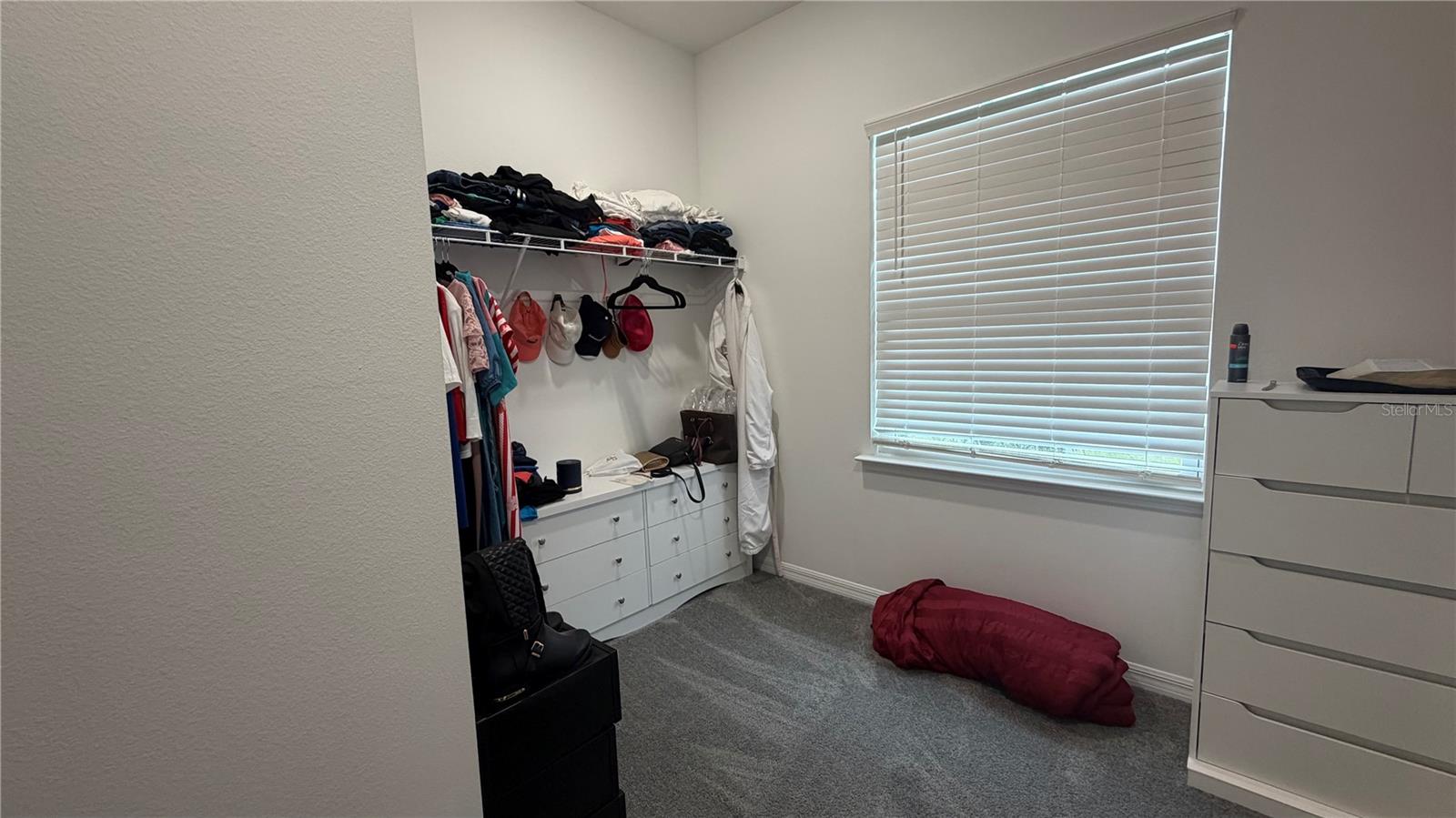 408 CIERRA OAKS CIR, LADY LAKE, FL, 32159