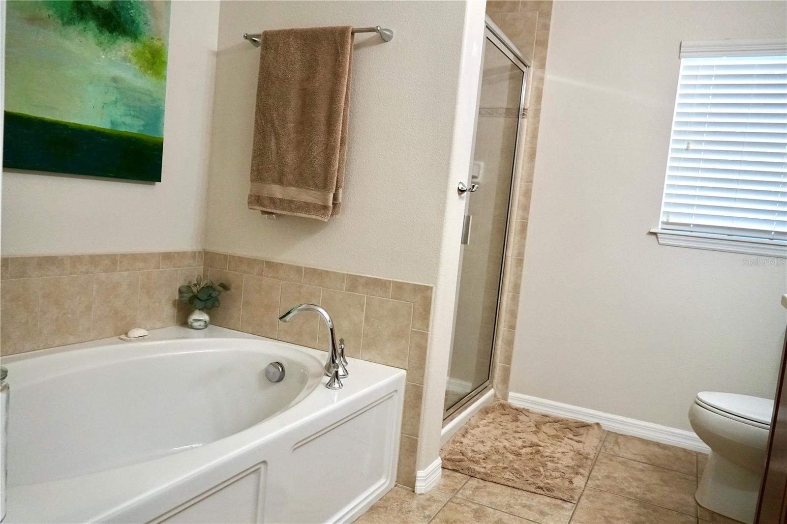 2802 WINGLEWOOD CIR, LUTZ, FL, 33558