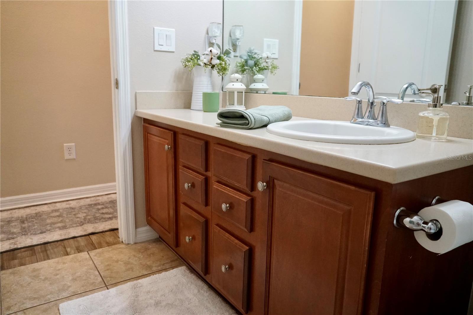 2802 WINGLEWOOD CIR, LUTZ, FL, 33558