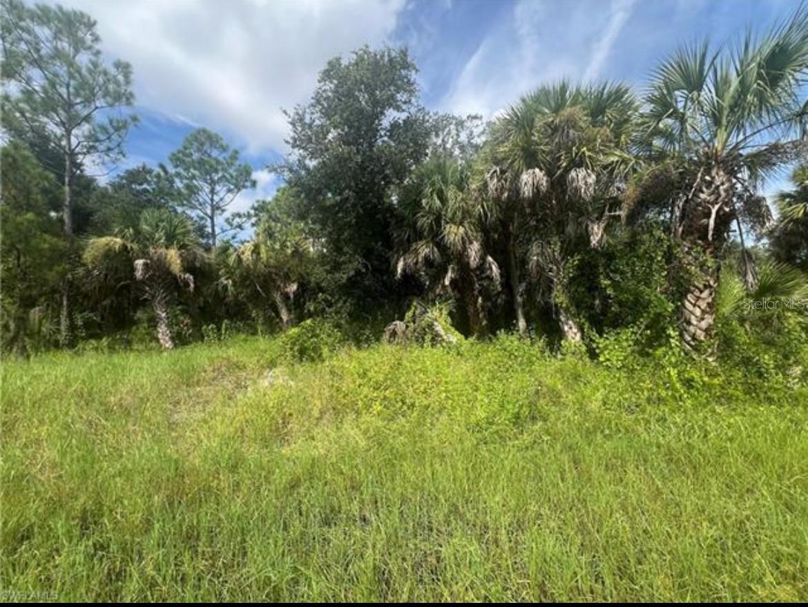 441 ADMIRAL ST, PORT CHARLOTTE, FL, 33954