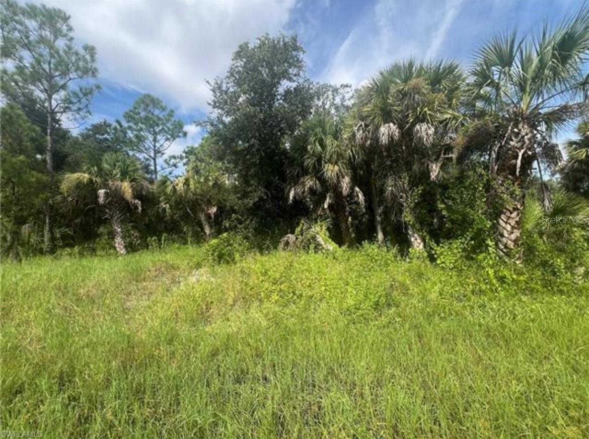 441 ADMIRAL ST, PORT CHARLOTTE, FL, 33954