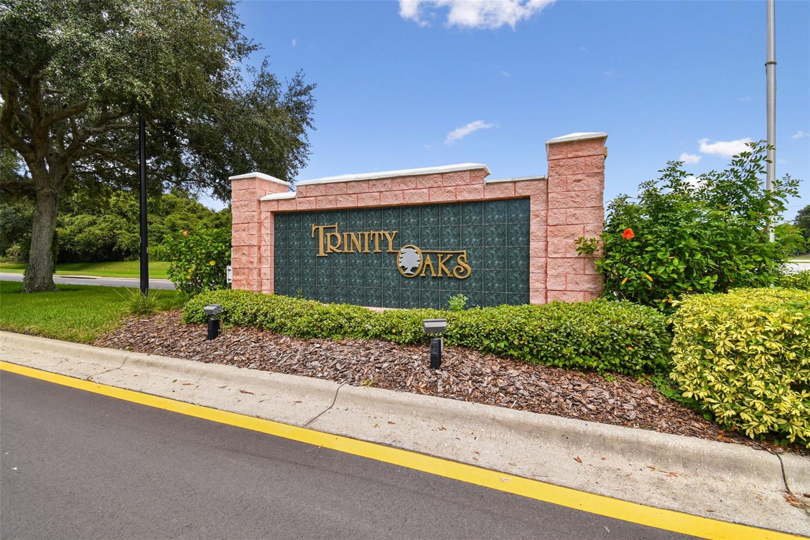 1021 ARLINBROOK DR, TRINITY, FL, 34655