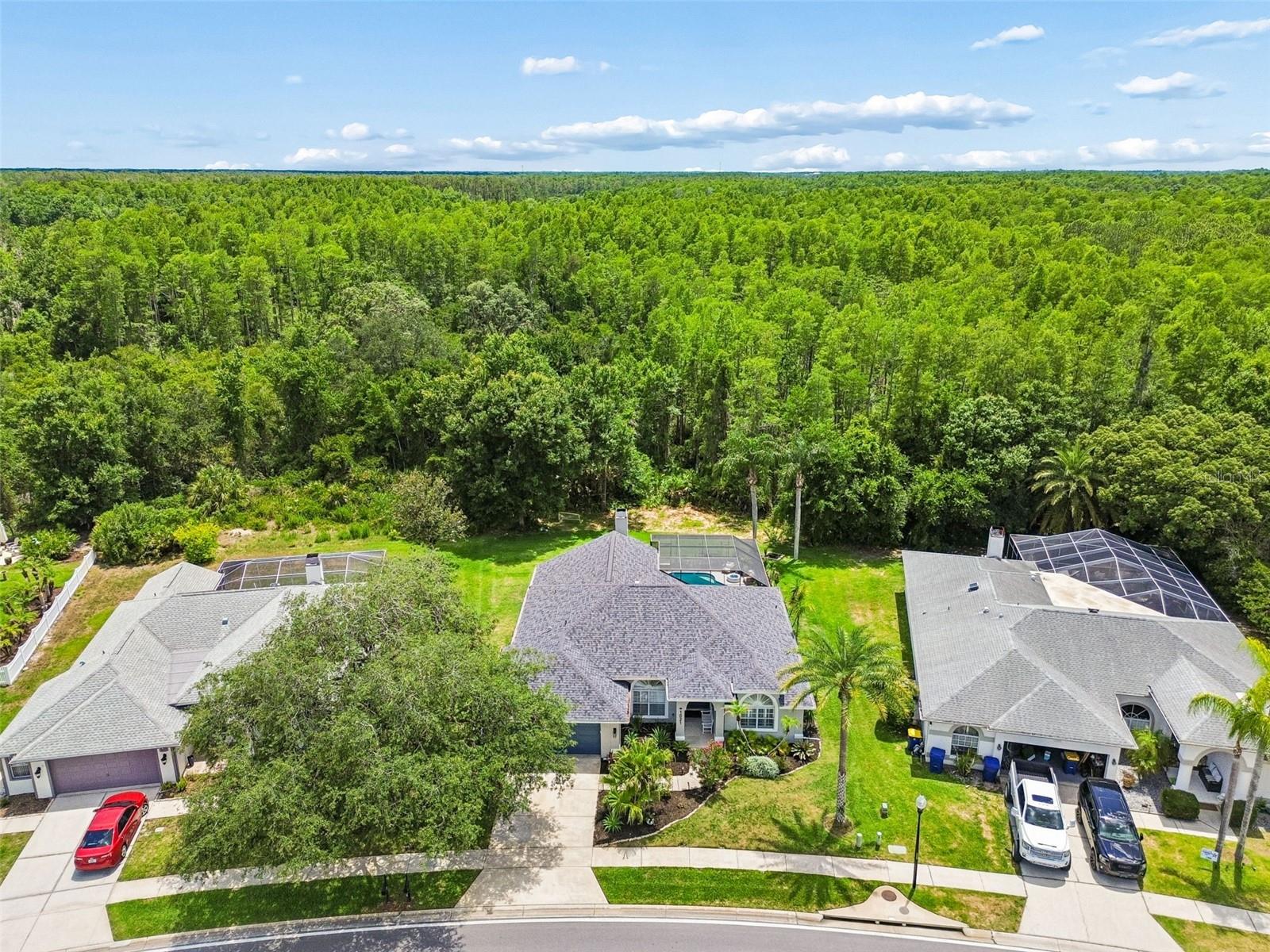 1021 ARLINBROOK DR, TRINITY, FL, 34655