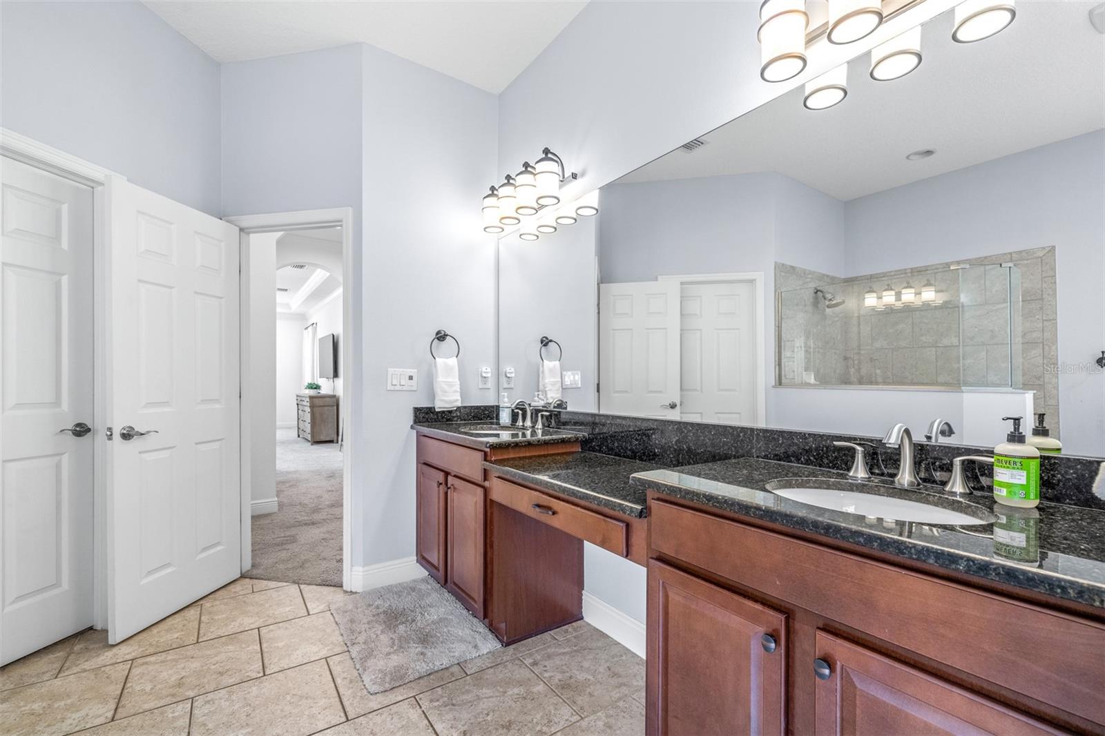 3227 WATERMARK DR, WESLEY CHAPEL, FL, 33544