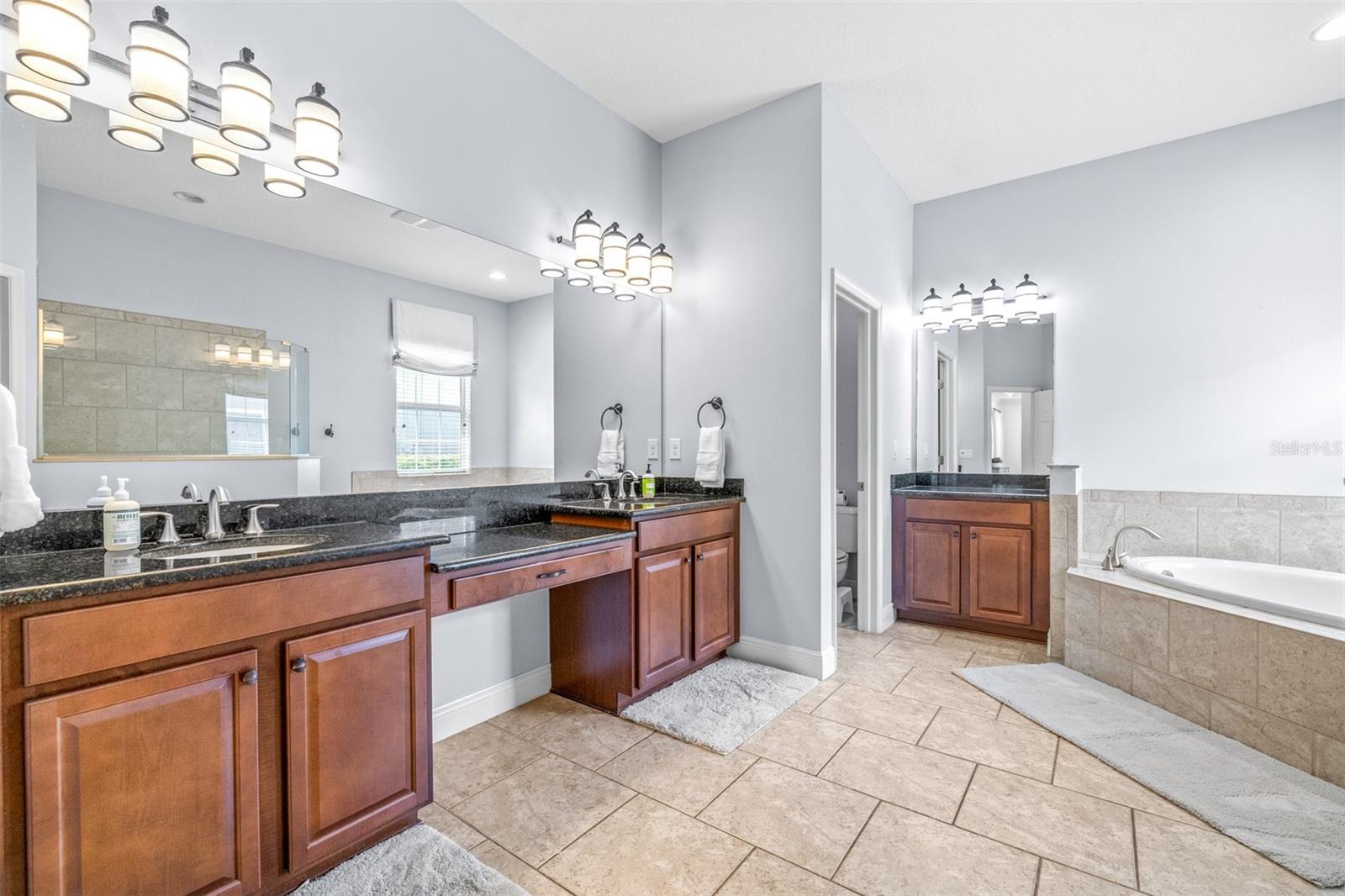 3227 WATERMARK DR, WESLEY CHAPEL, FL, 33544