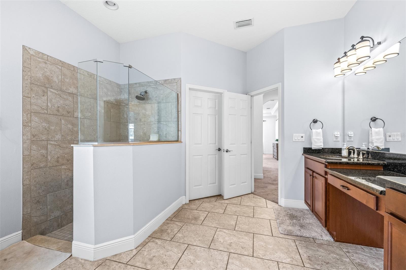 3227 WATERMARK DR, WESLEY CHAPEL, FL, 33544