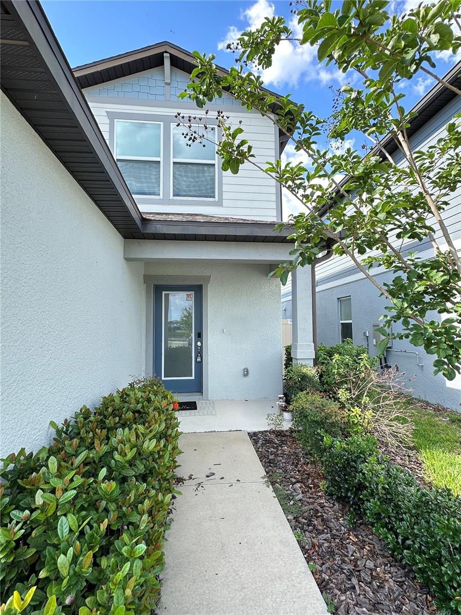 20665 DRAKE ELM DR, LAND O LAKES, FL, 34638