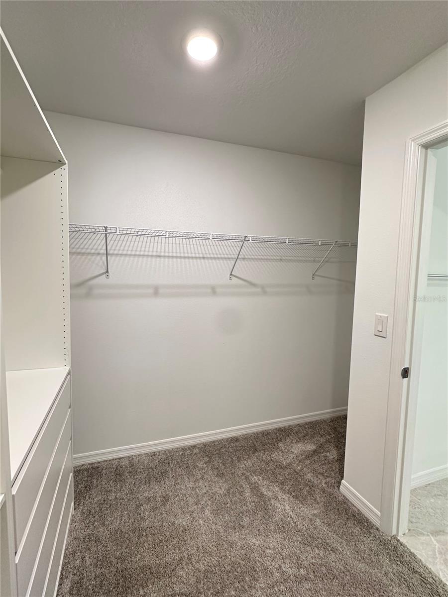 20665 DRAKE ELM DR, LAND O LAKES, FL, 34638